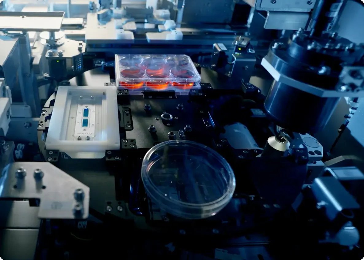 Close-up of the NPi-11 automated platform with multi-well plates and petri dishes for iPSC culture and differentiation workflows