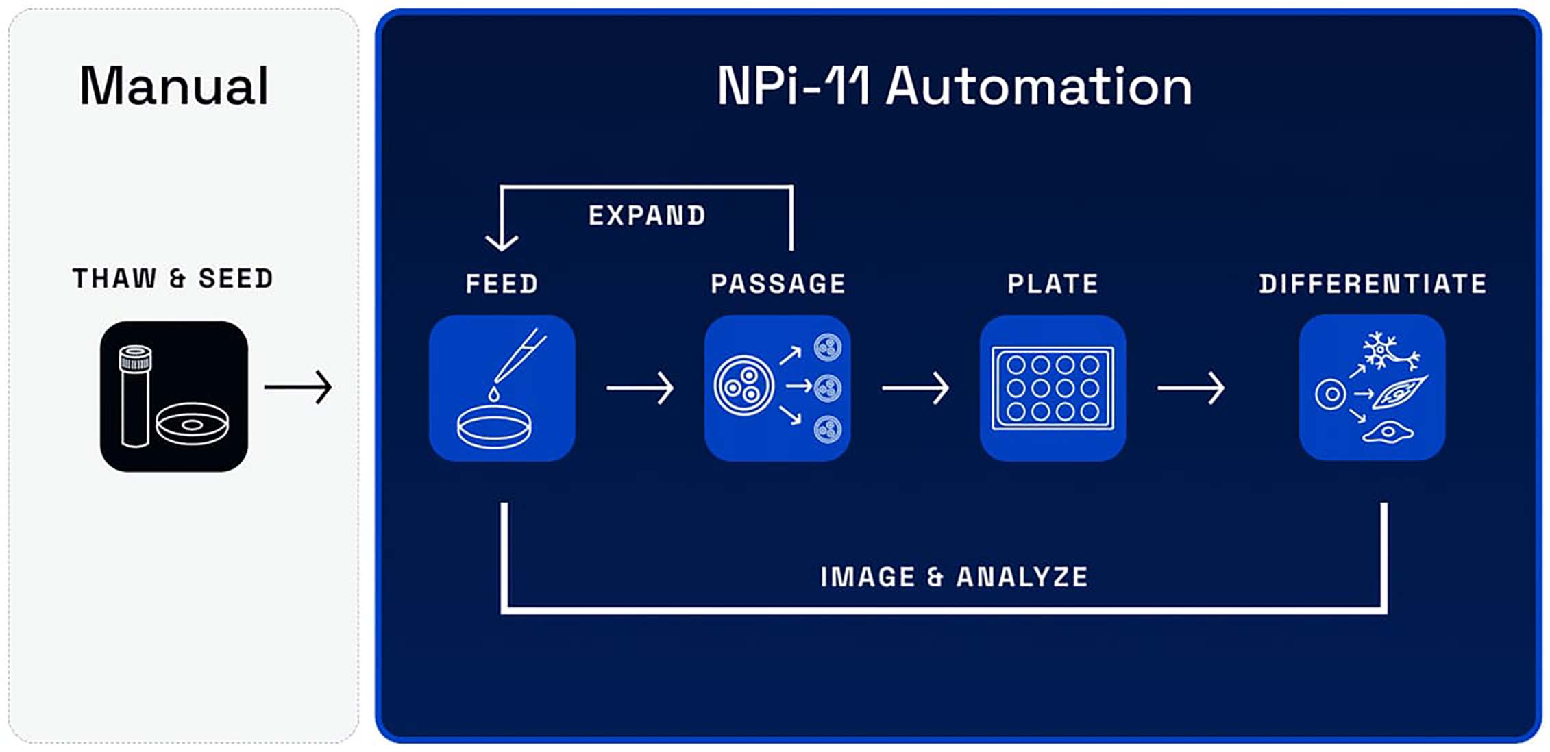 Npi Control System NPi-11 All-in-One Automated Cell Culture System | Panasonic