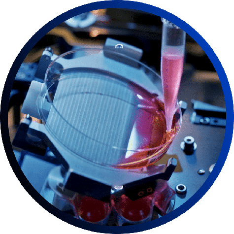Close-up of the NPi-11 cell culture robot's high-precision pipetting system dispensing liquid into a cell culture dish.