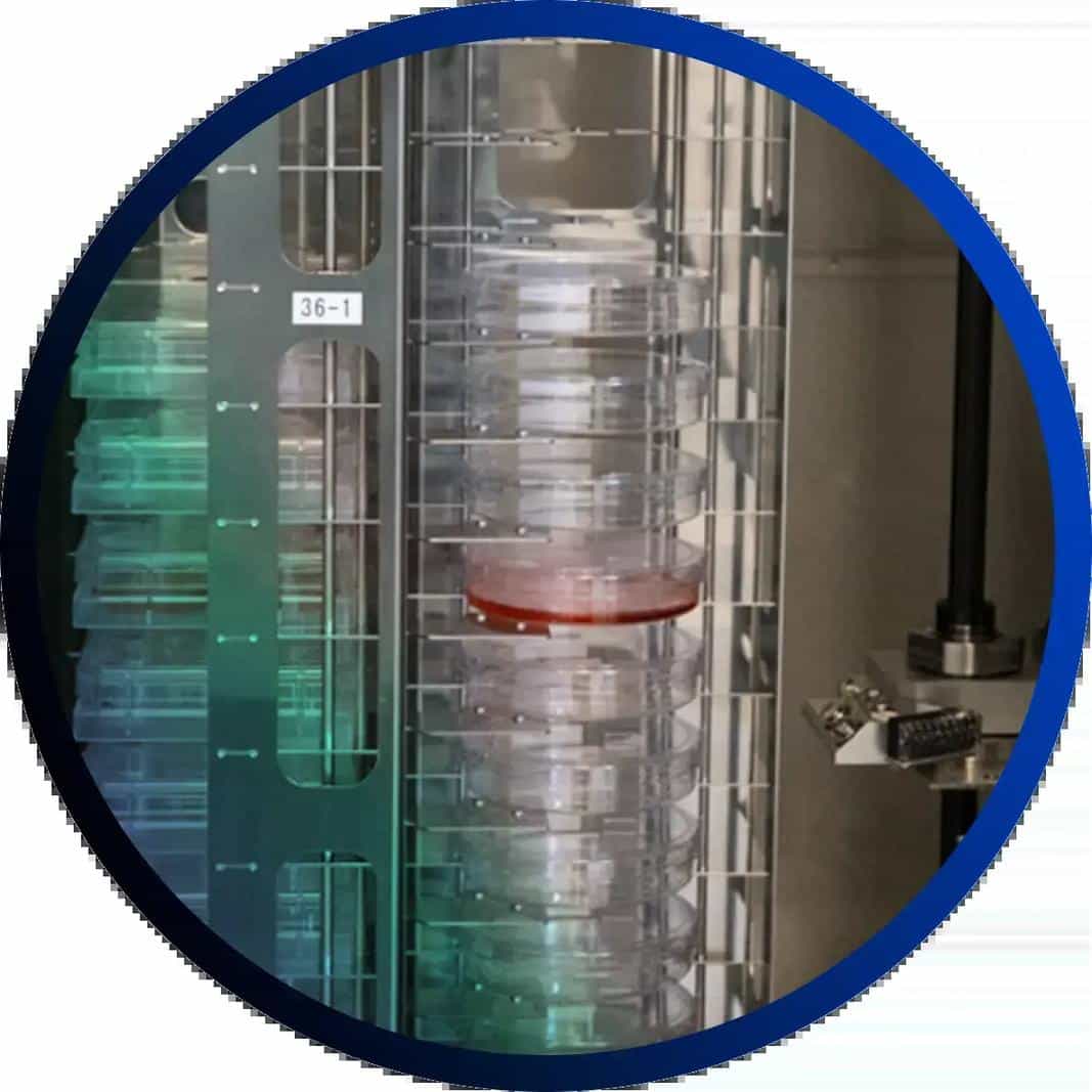 Interior view of the NPi-11 automated cell culture machine's integrated incubator with plate storage shelves.
